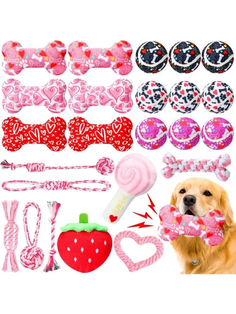 25 Pcs Valentine's Dog Toy Set - Squeaky Balls, Plush Bones & Rope Toys for